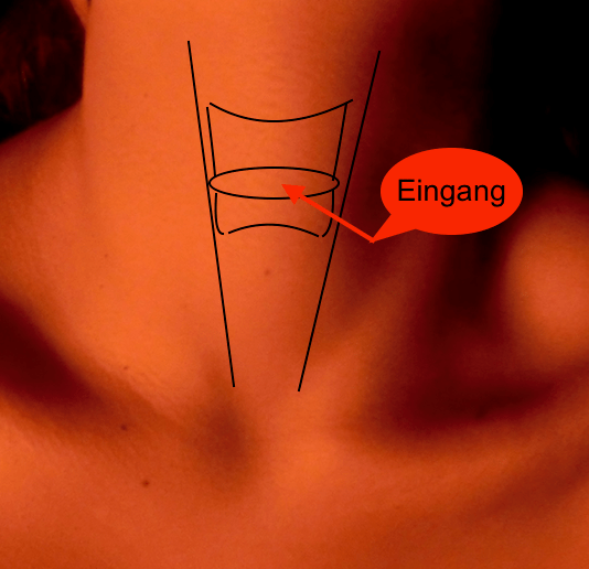 Koniotomie und „laryngeal handshake“ – any&nbsp;news?