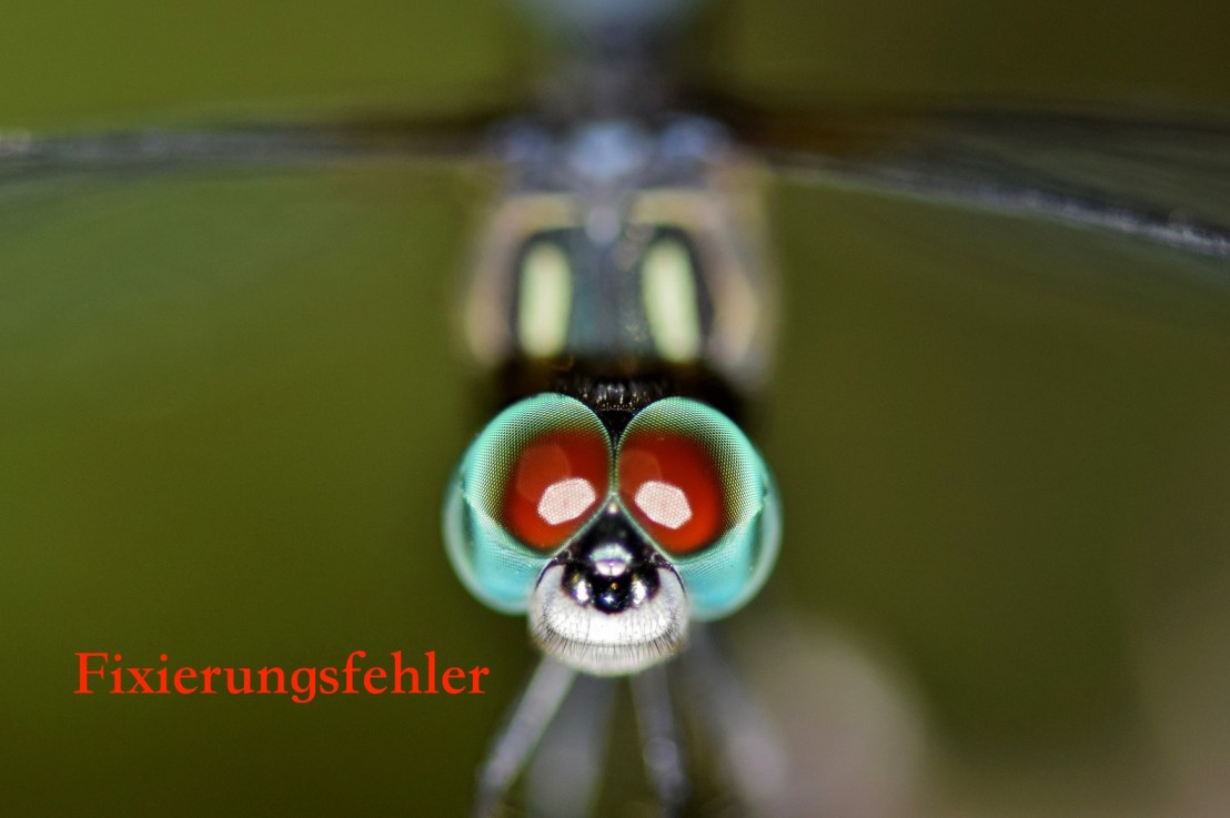 CRM – Fixierungsfehler