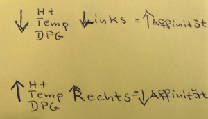 83E60FB5-6CA3-473D-8F9E-2E2F619D739D