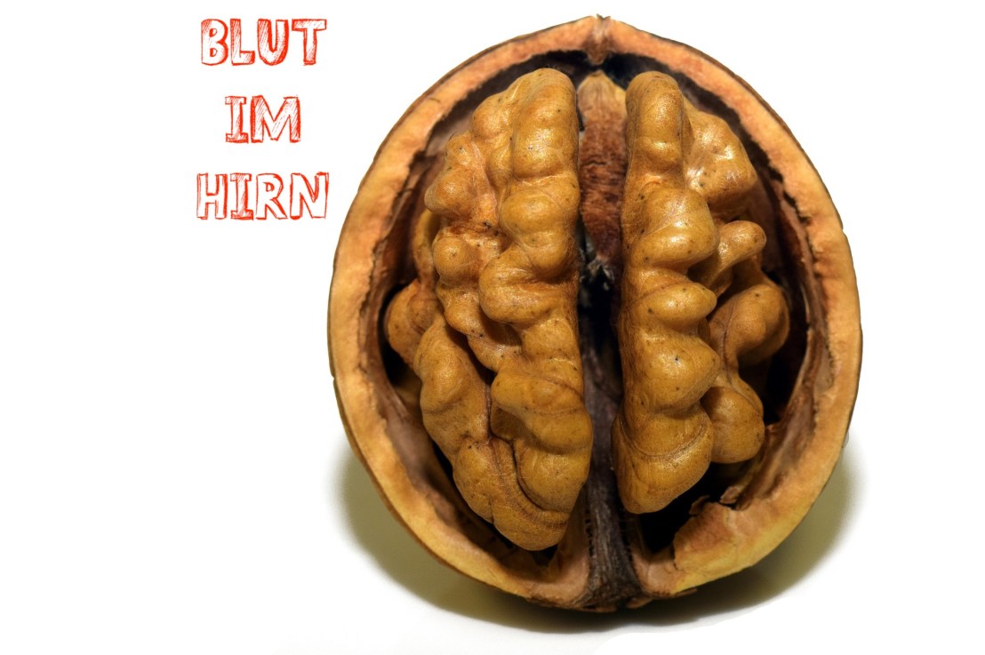 Blut im Hirn